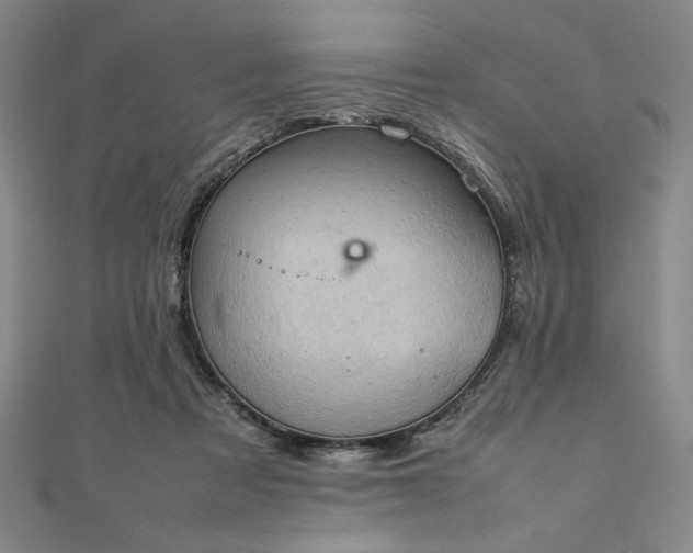 X0000111920313200908031210