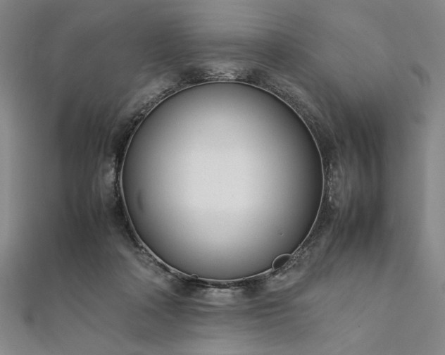 X0000111920314200908031210