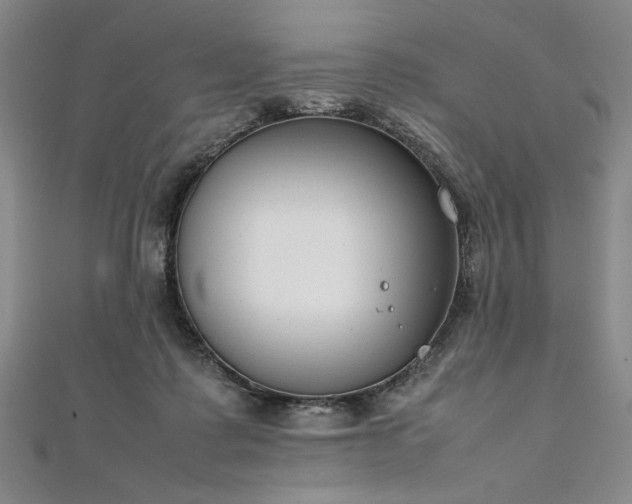 X0000111920315200908031210