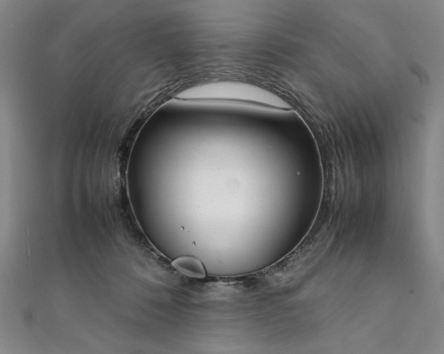 X0000111920320200908031210