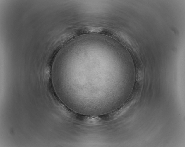 X0000111920321200908031210