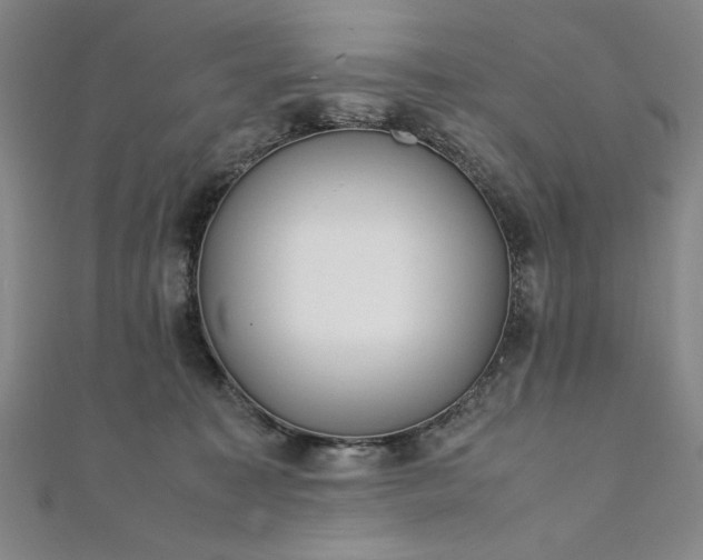 X0000111920323200908031210