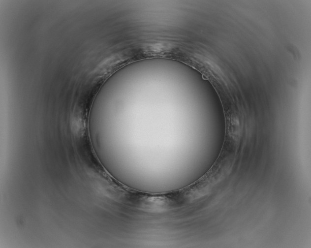 X0000111920324200908031210