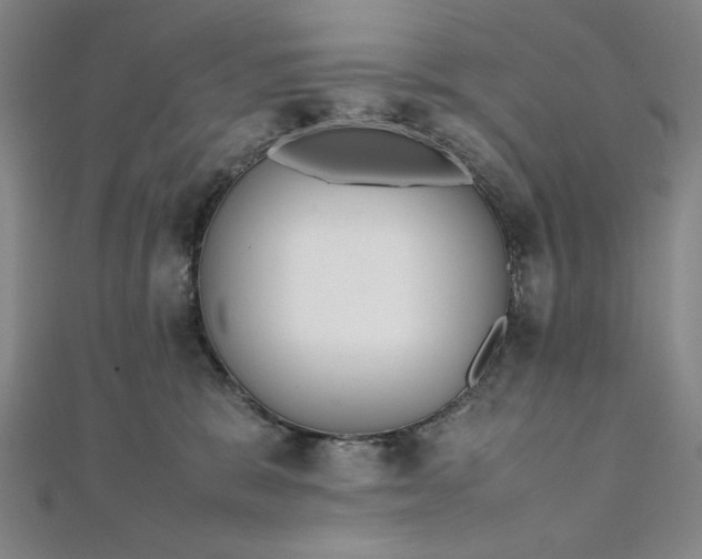 X0000111920327200908031210