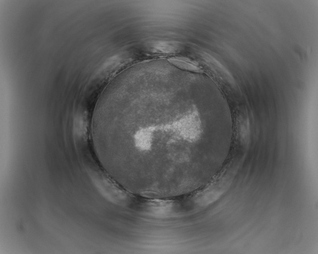 X0000111920328200908031210