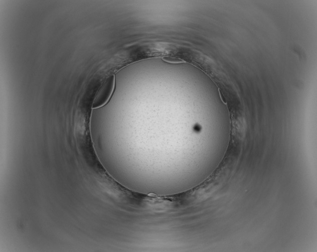 X0000111920331200908031210