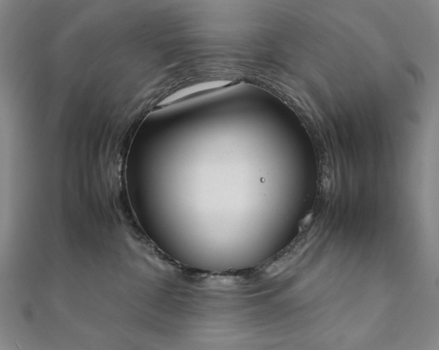 X0000111920332200908031210