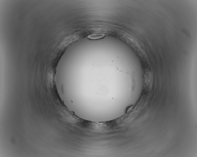 X0000111920333200908031210