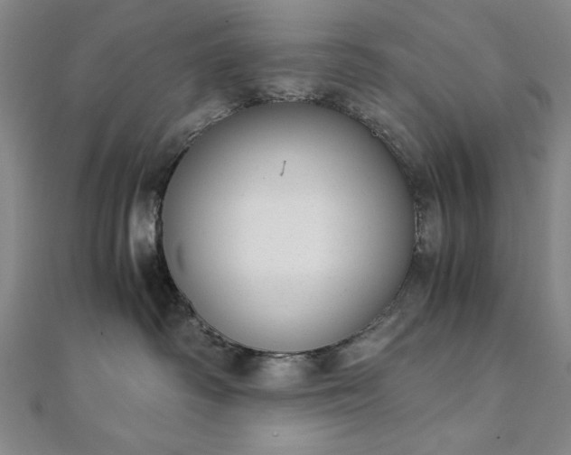 X0000111920334200908031210