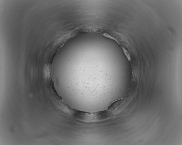 X0000111920335200908031210