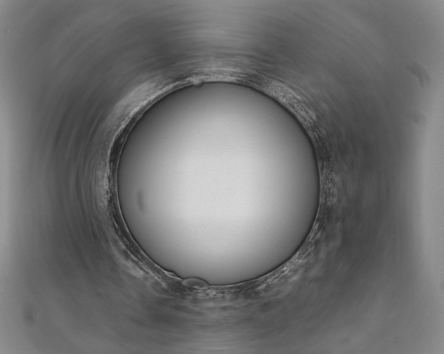 X0000111920338200908031209