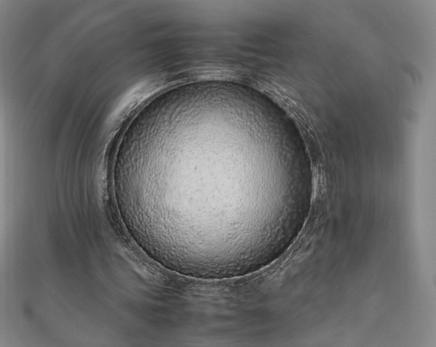 X0000111920339200908031209