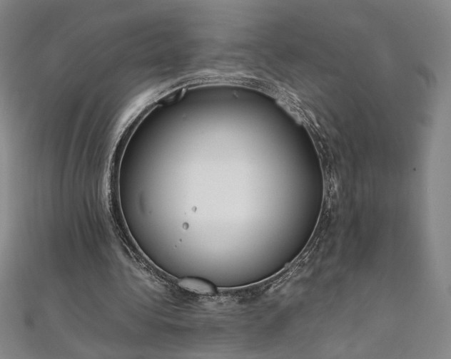 X0000111920340200908031209