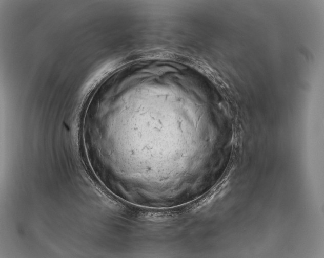 X0000111920341200908031209