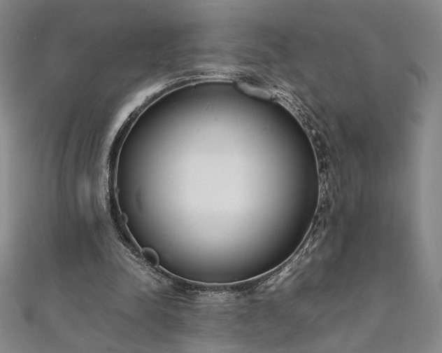 X0000111920342200908031209