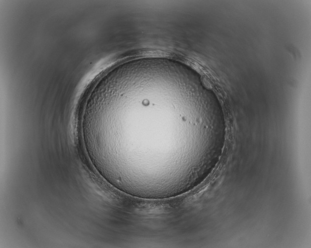 X0000111920343200908031209