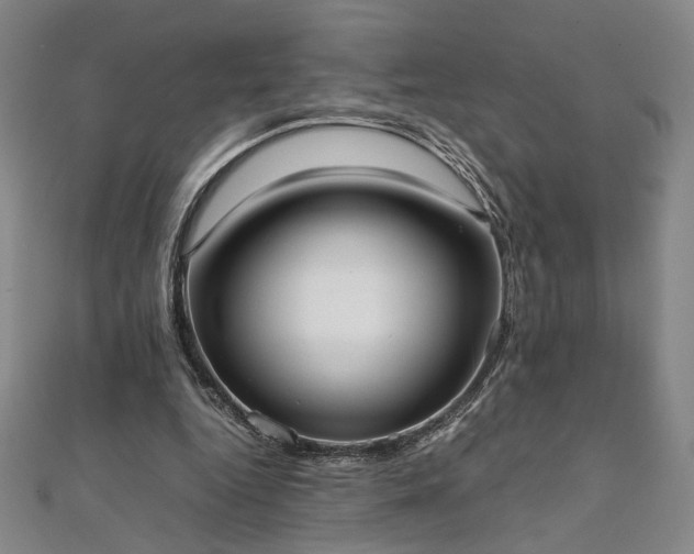 X0000111920344200908031209