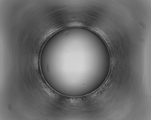 X0000111920345200908031209