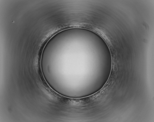 X0000111920346200908031209