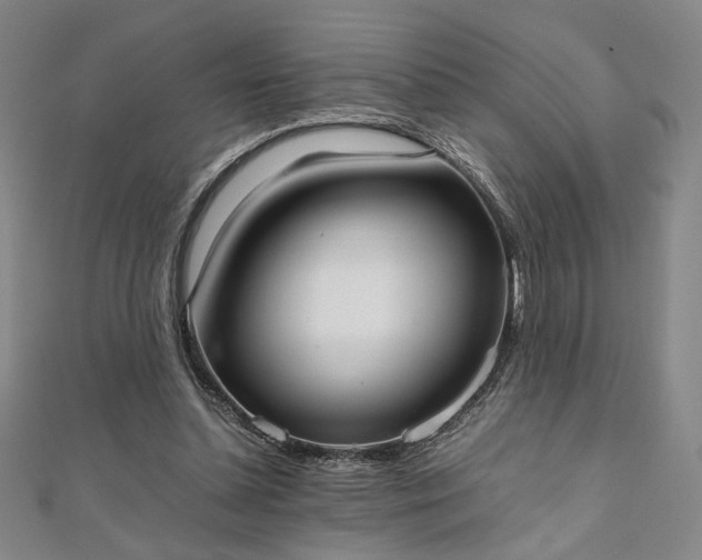 X0000111920348200908031209