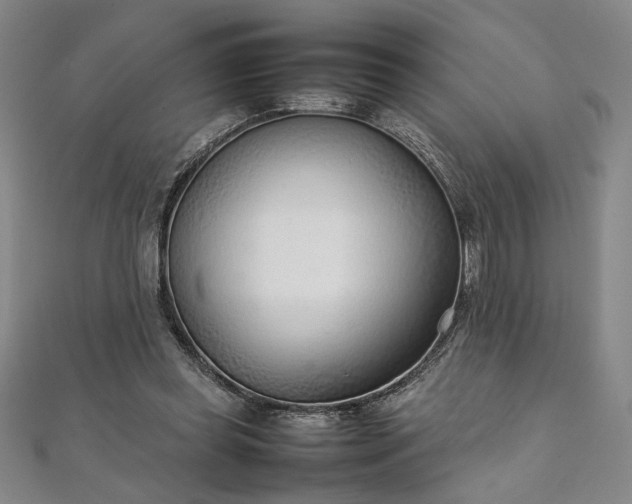 X0000111920349200908031209