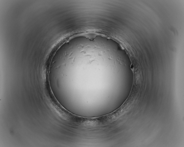 X0000111920350200908031209