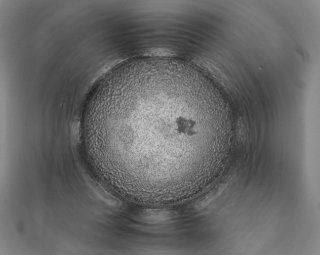 X0000111920351200908031209