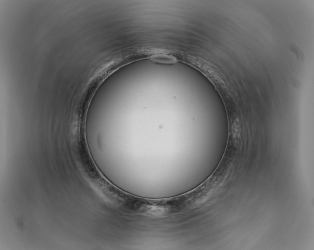 X0000111920352200908031209