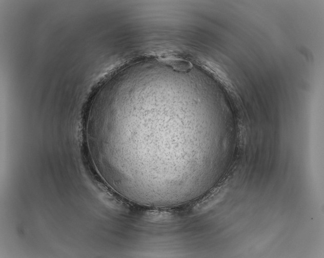 X0000111920354200908031209