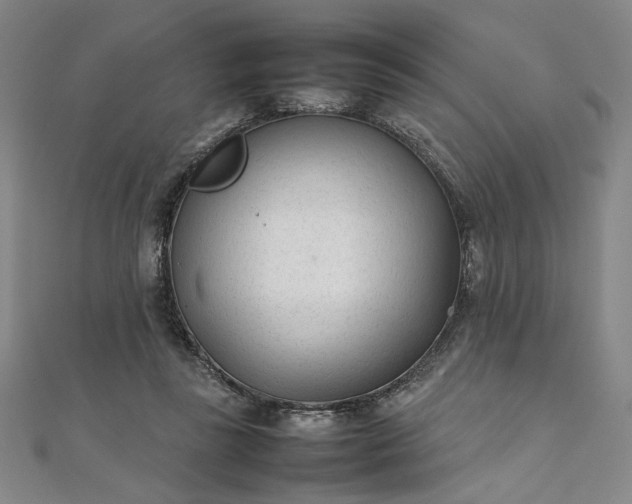 X0000111920355200908031209