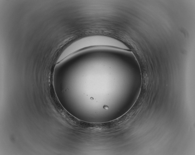 X0000111920356200908031209