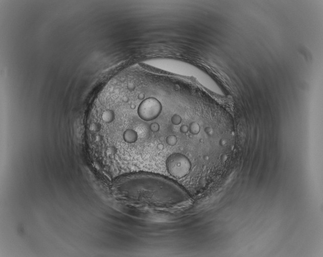 X0000111920359200908031209