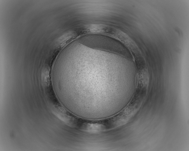 X0000111920360200908031209