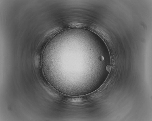 X0000111920361200908031209