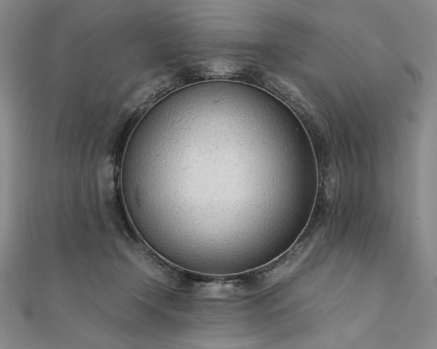 X0000111920366200908031209