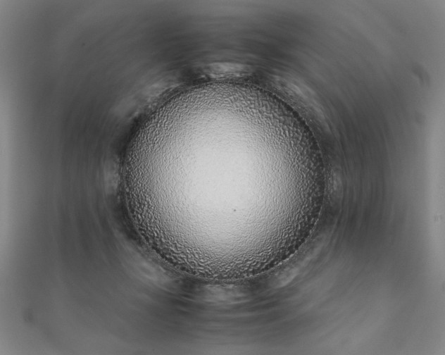 X0000111920367200908031209