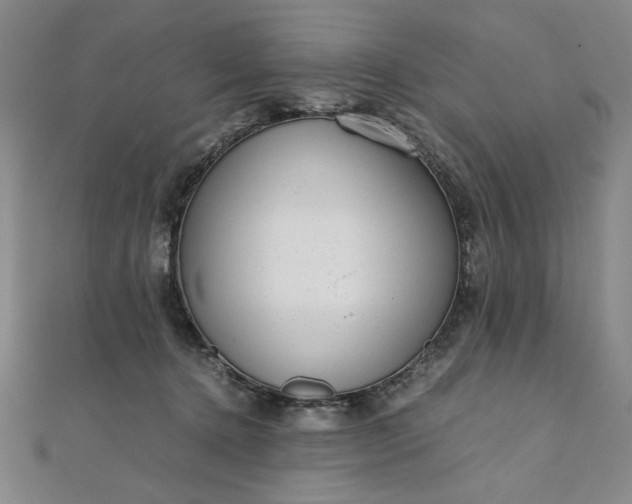 X0000111920368200908031209