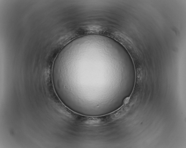 X0000111920369200908031209