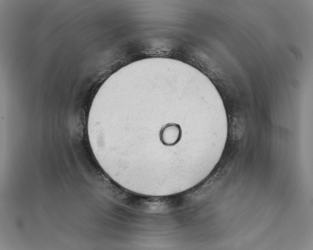 X0000111920370200908031209