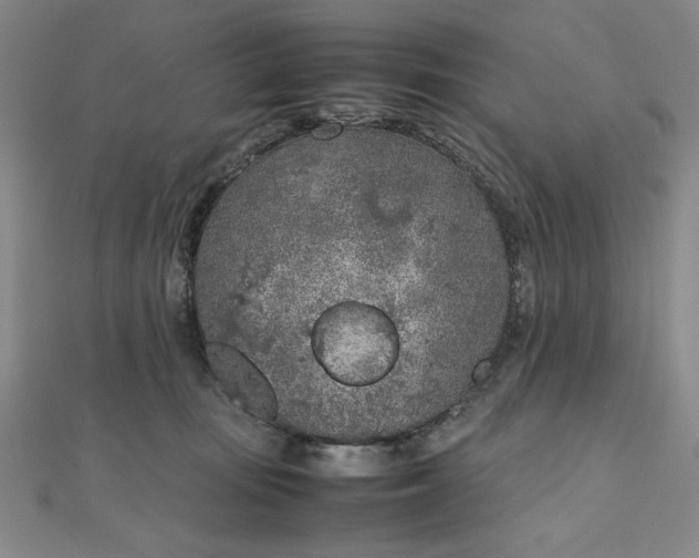 X0000111920371200908031209