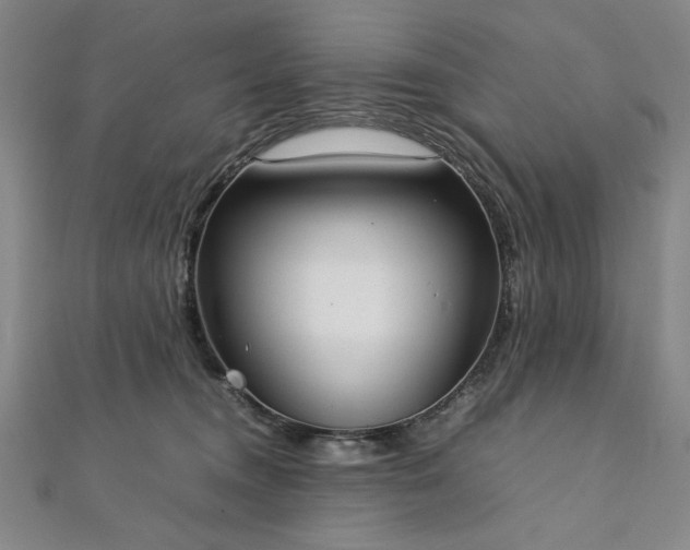 X0000111920372200908031209