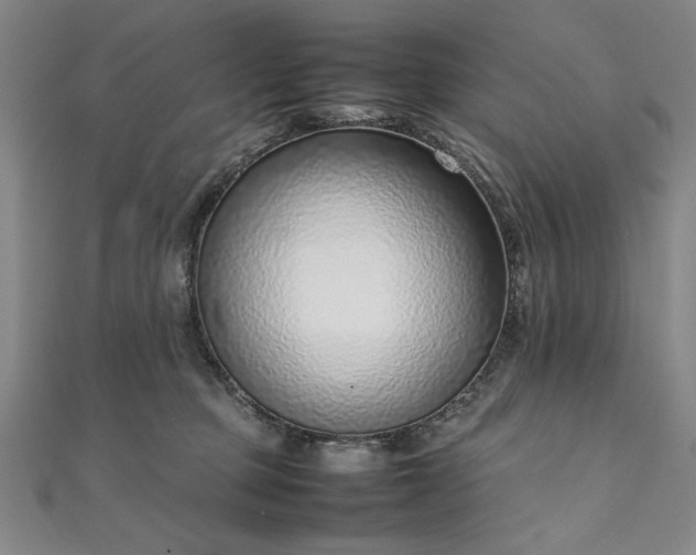 X0000111920373200908031209