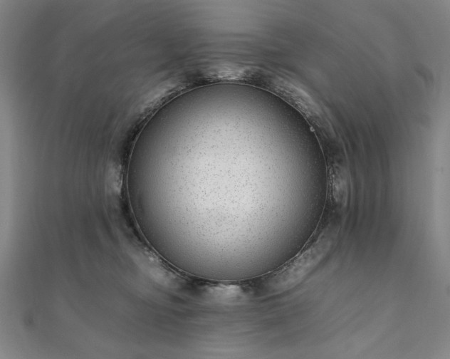 X0000111920374200908031209