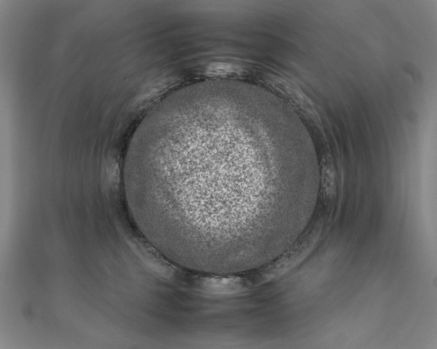 X0000111920375200908031209