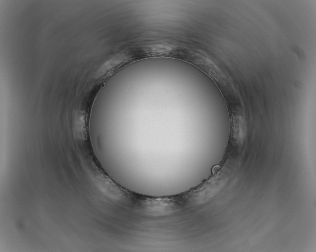 X0000111920378200908031209