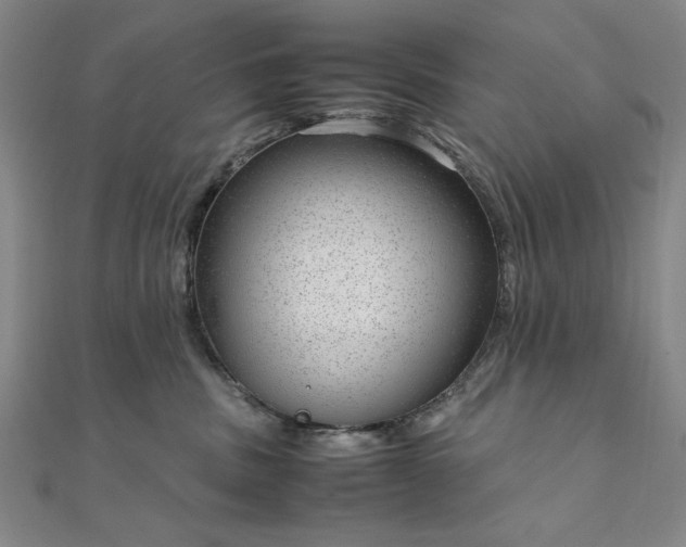 X0000111920379200908031209