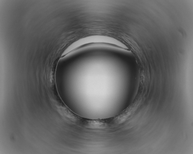 X0000111920380200908031209