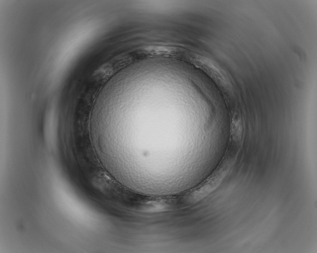 X0000111920381200908031210