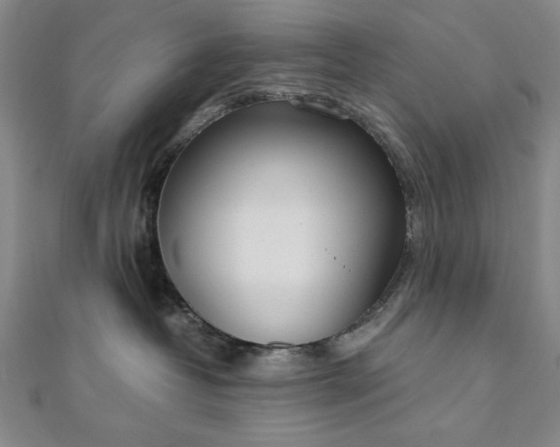 X0000111920382200908031210