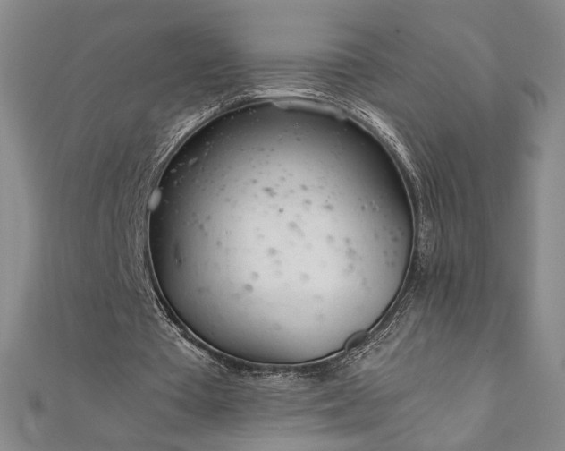 X0000111920385200908031209